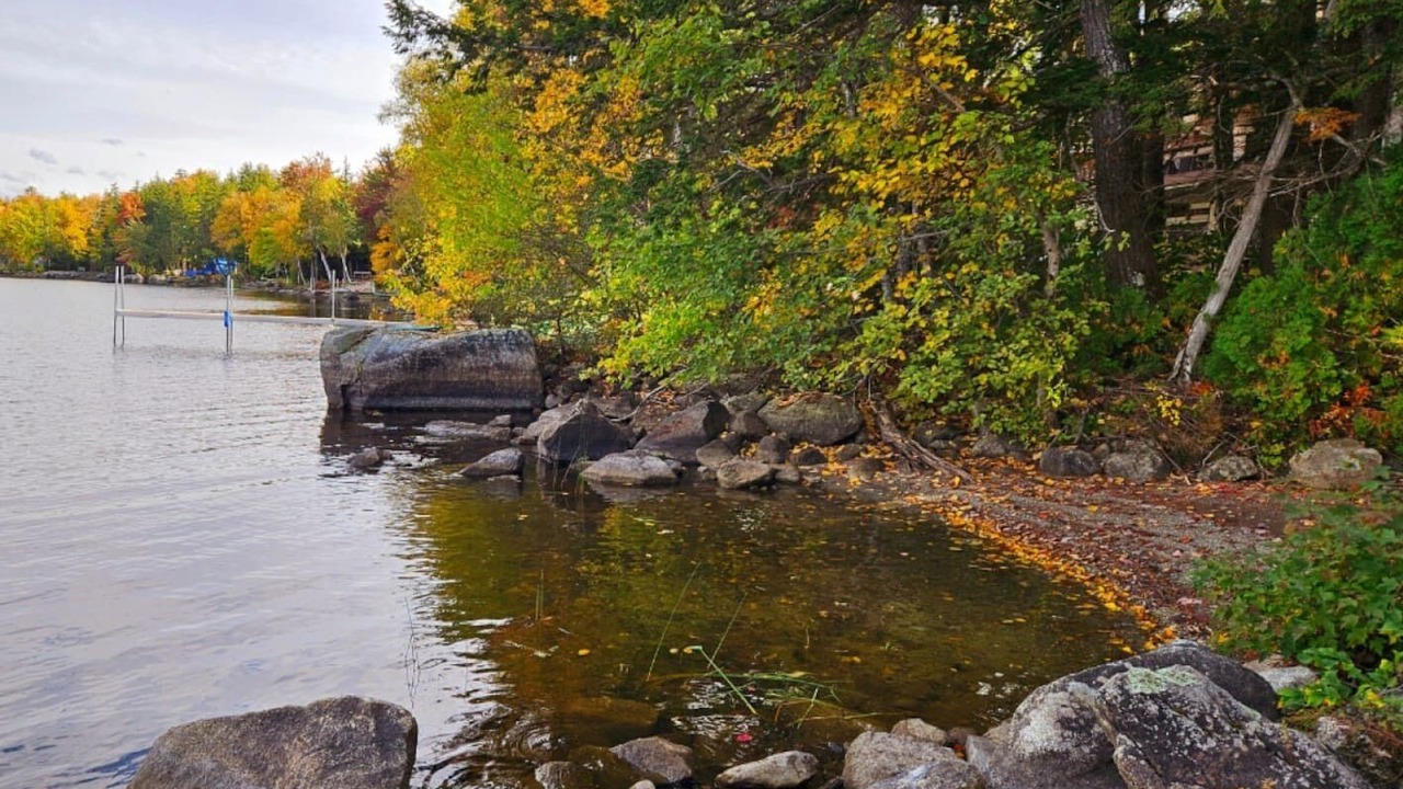 Photo of Others in Hartland