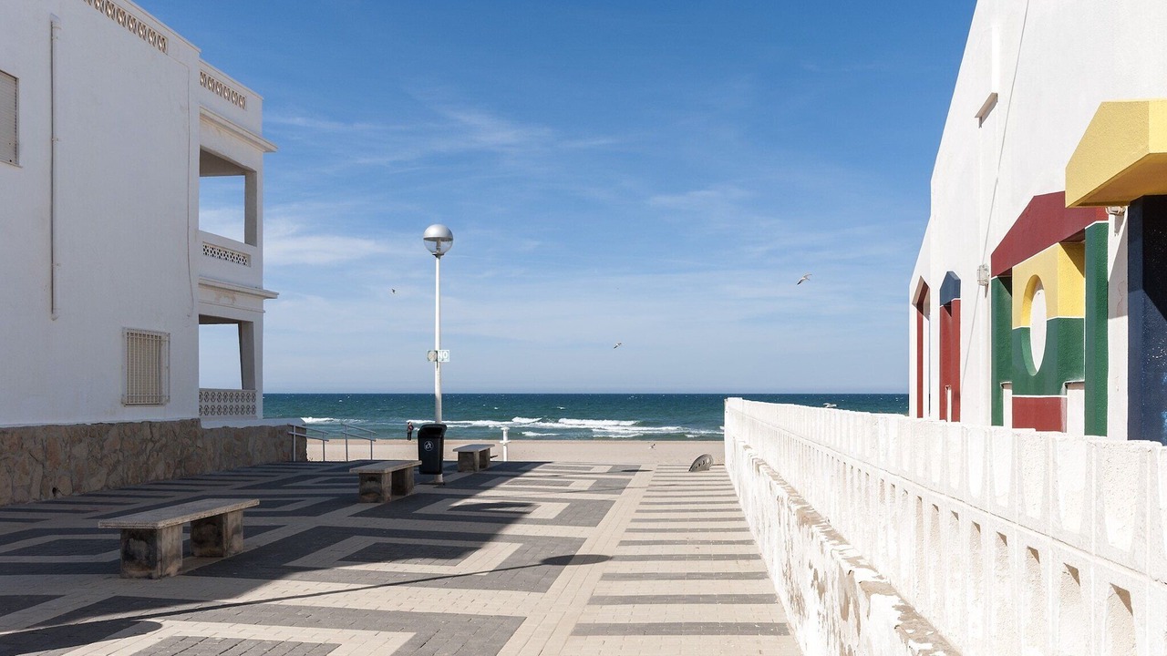 Photo of Outdoor in Oliva