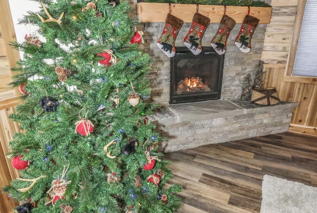 Photo of Livingroom in Island Park