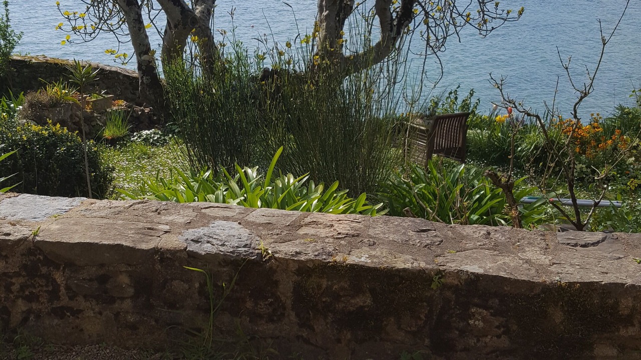 Photo of Others in Lanmodez