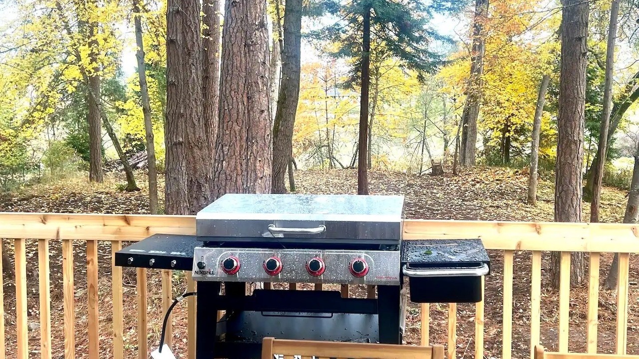 Photo of Outdoor in Redwood