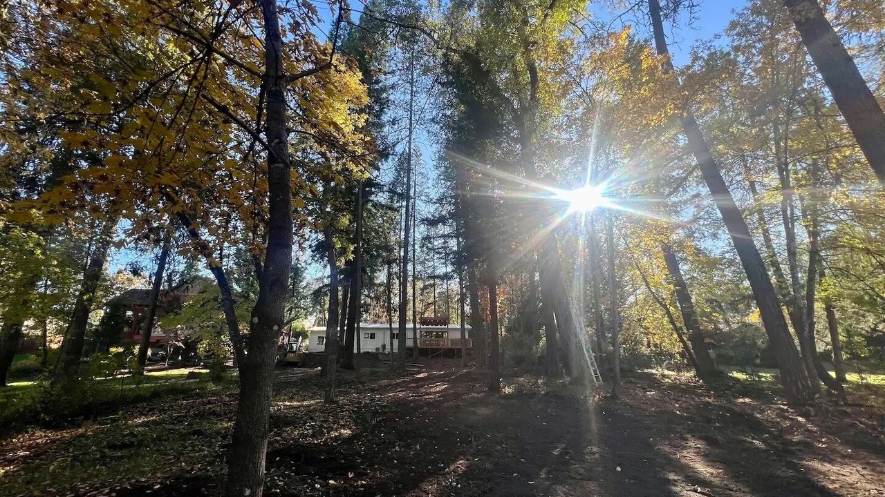 Photo of Others in Redwood