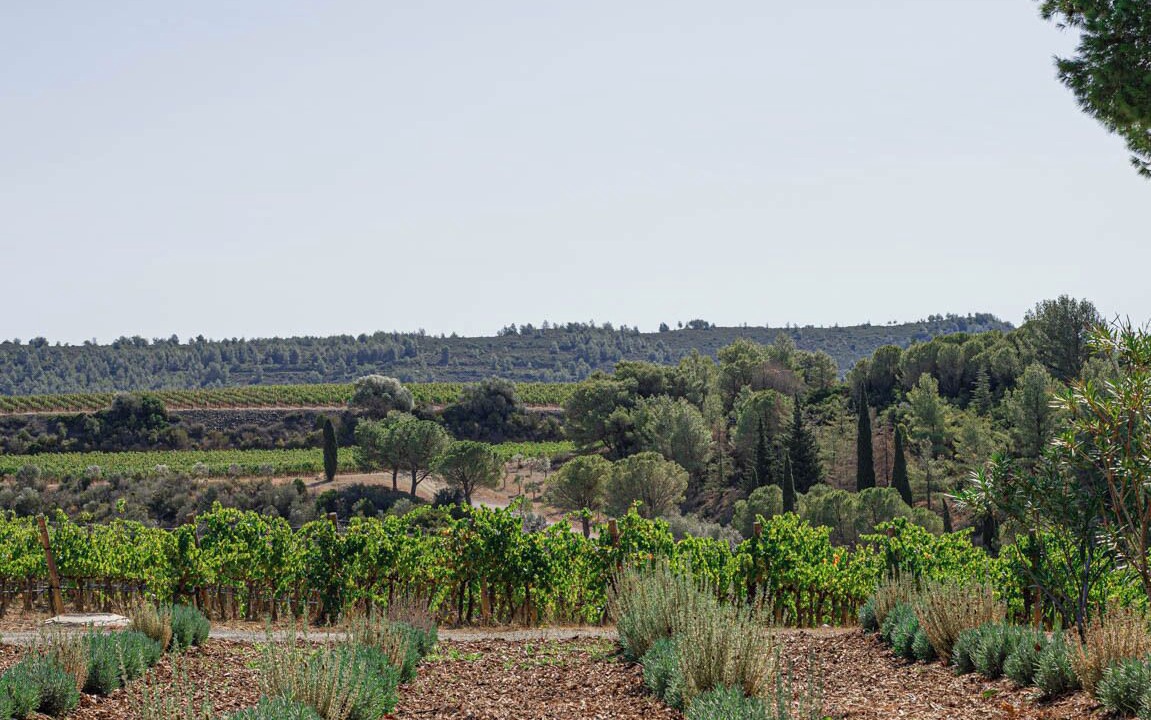 Photo of Outdoor in Portel-des-Corbieres