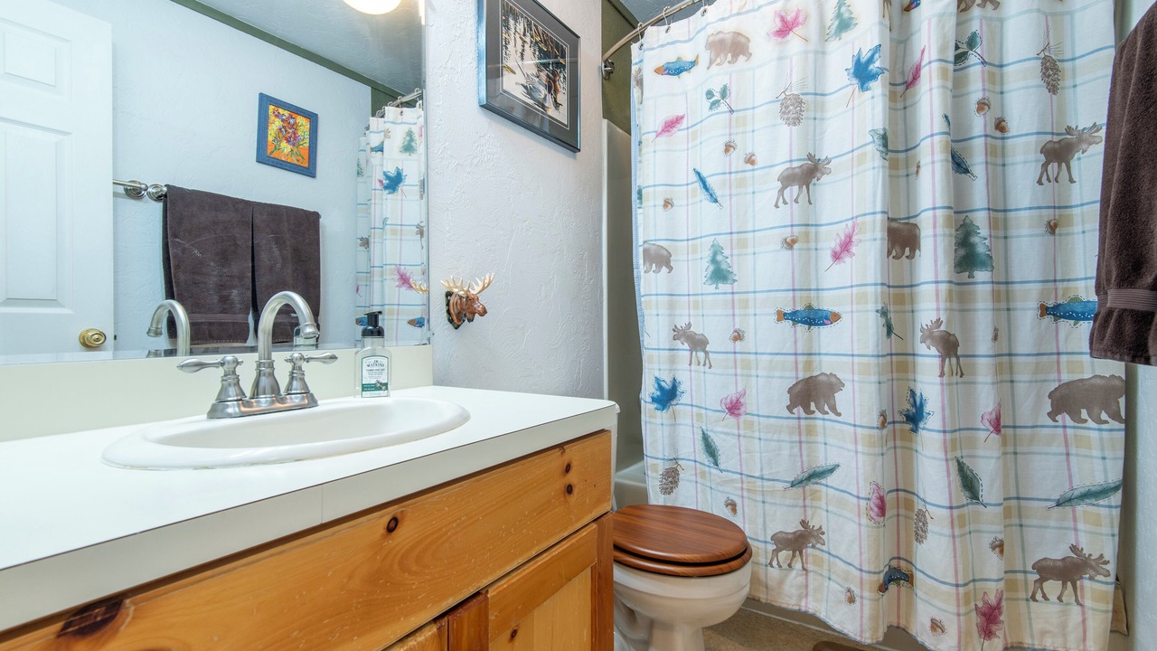 Photo of Bathroom in Victor