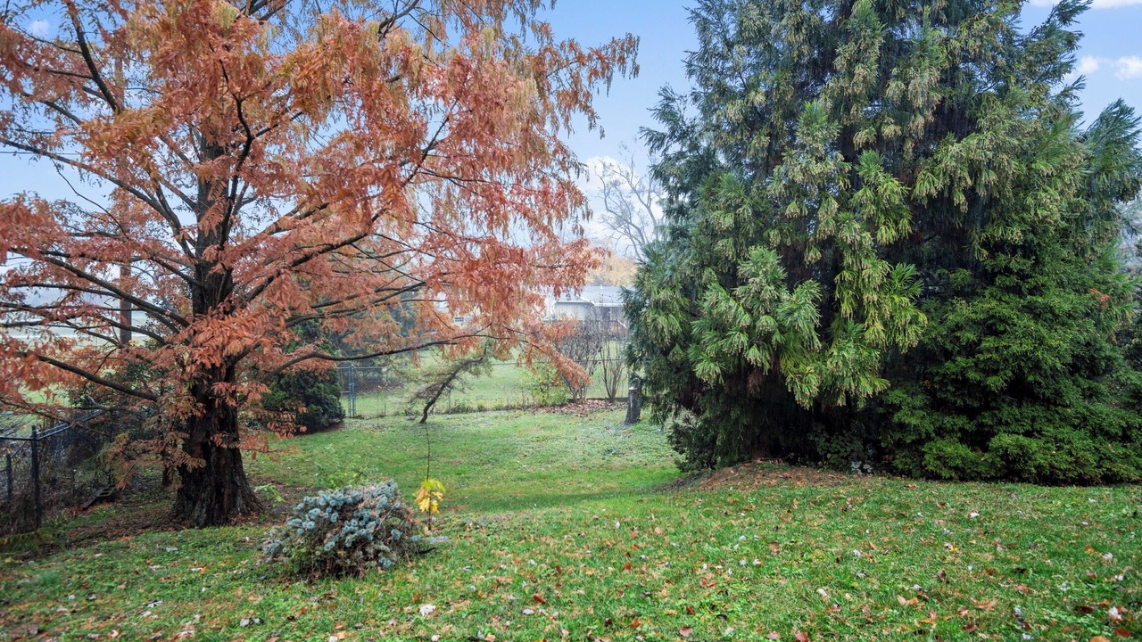 Photo of Outdoor in Carlisle