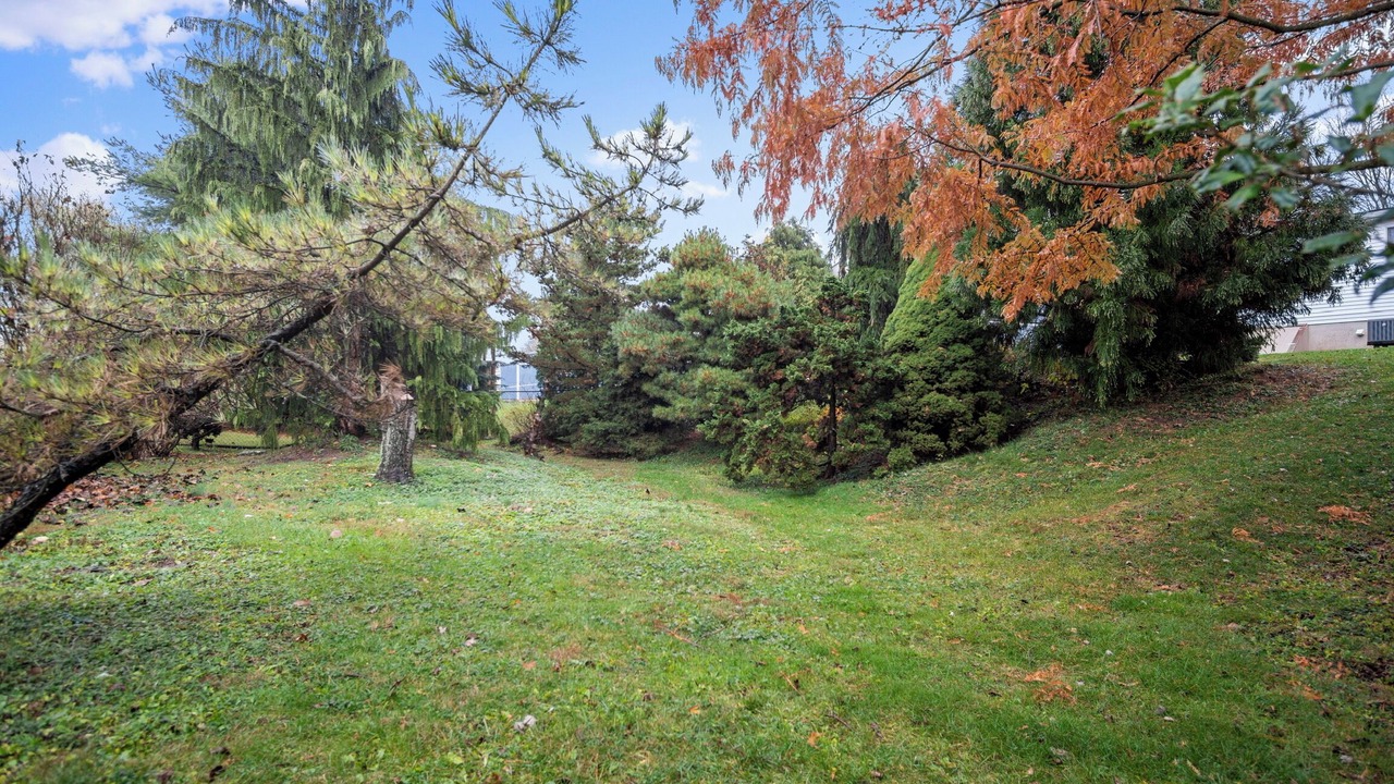 Photo of Outdoor in Carlisle