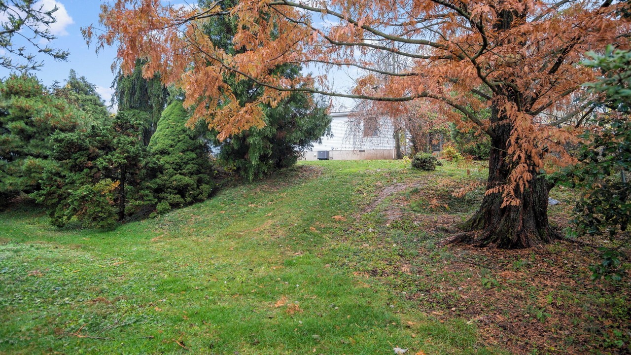 Photo of Outdoor in Carlisle