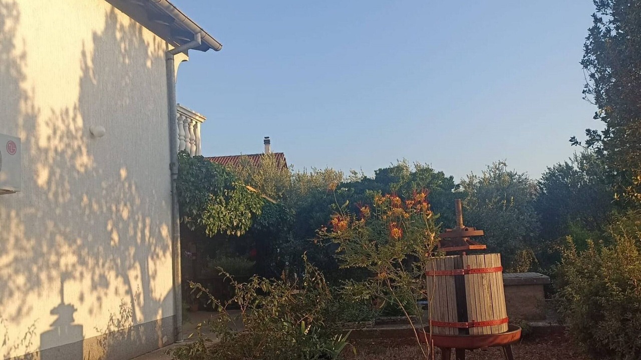 Photo of Outdoor in Zaton