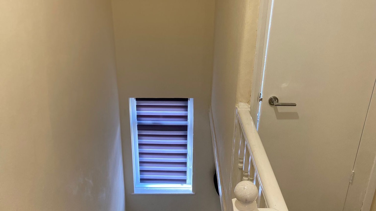 Photo of Others in Alibon