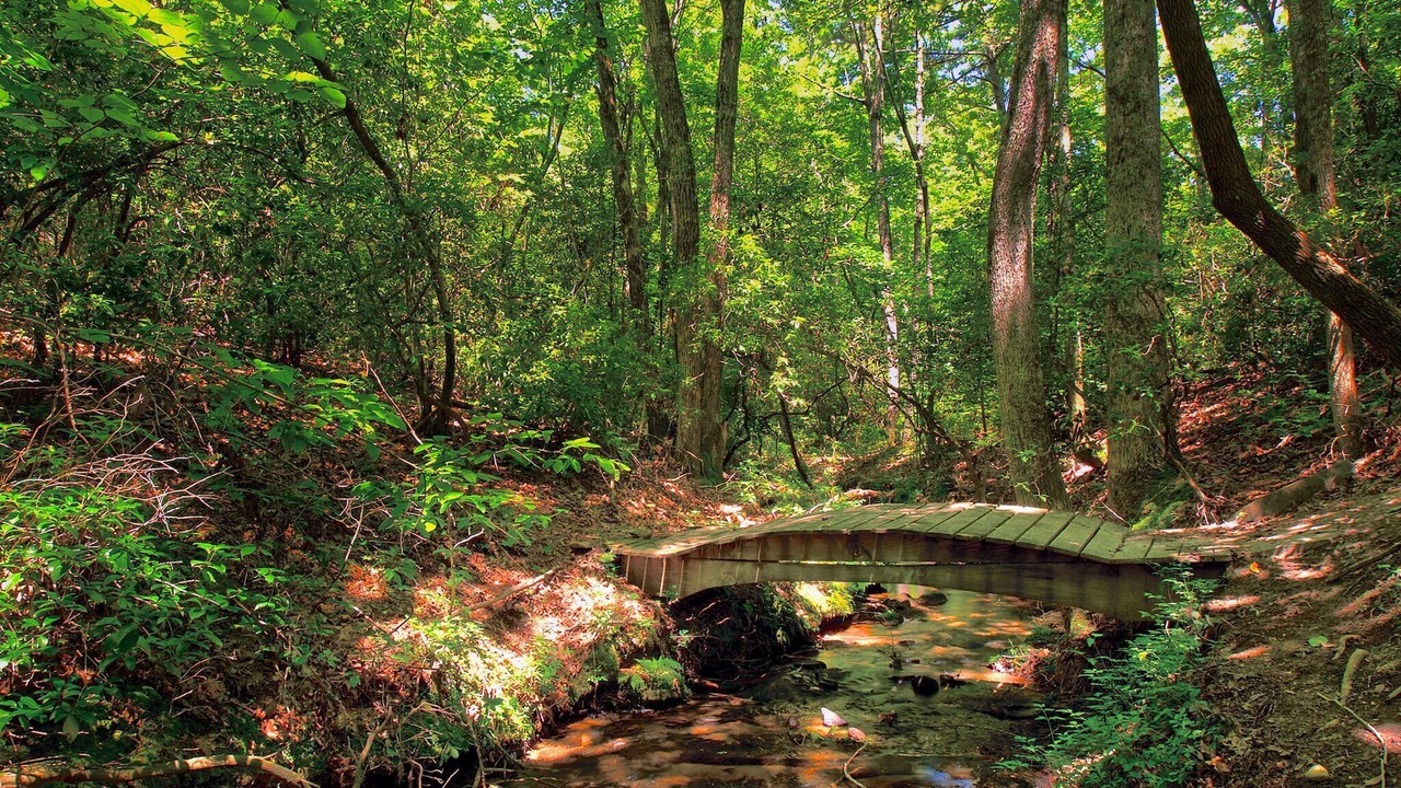 Photo of Others in Rising Fawn