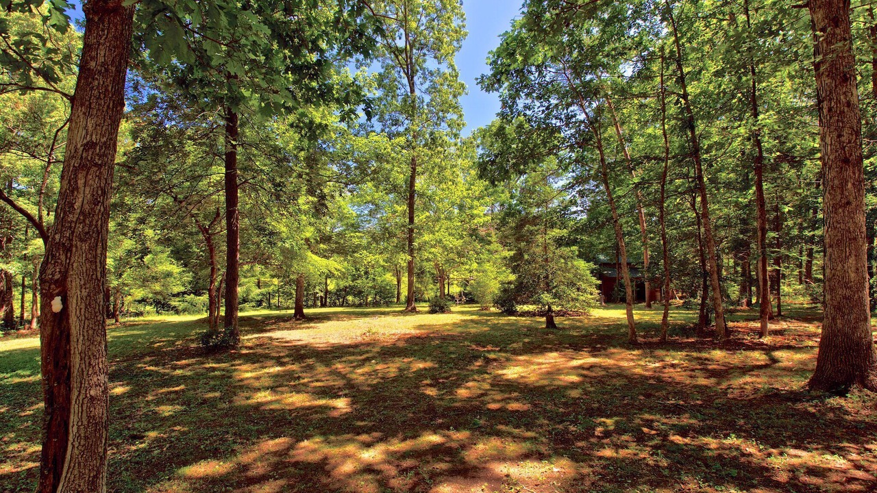 Photo of Others in Rising Fawn