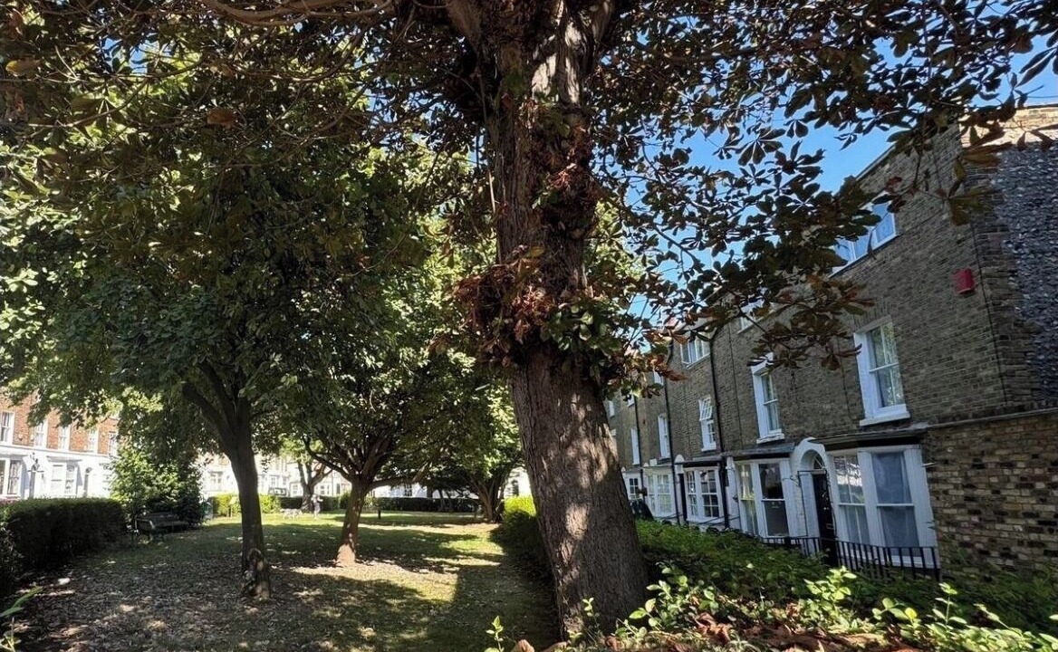 Photo of Outdoor in Ramsgate