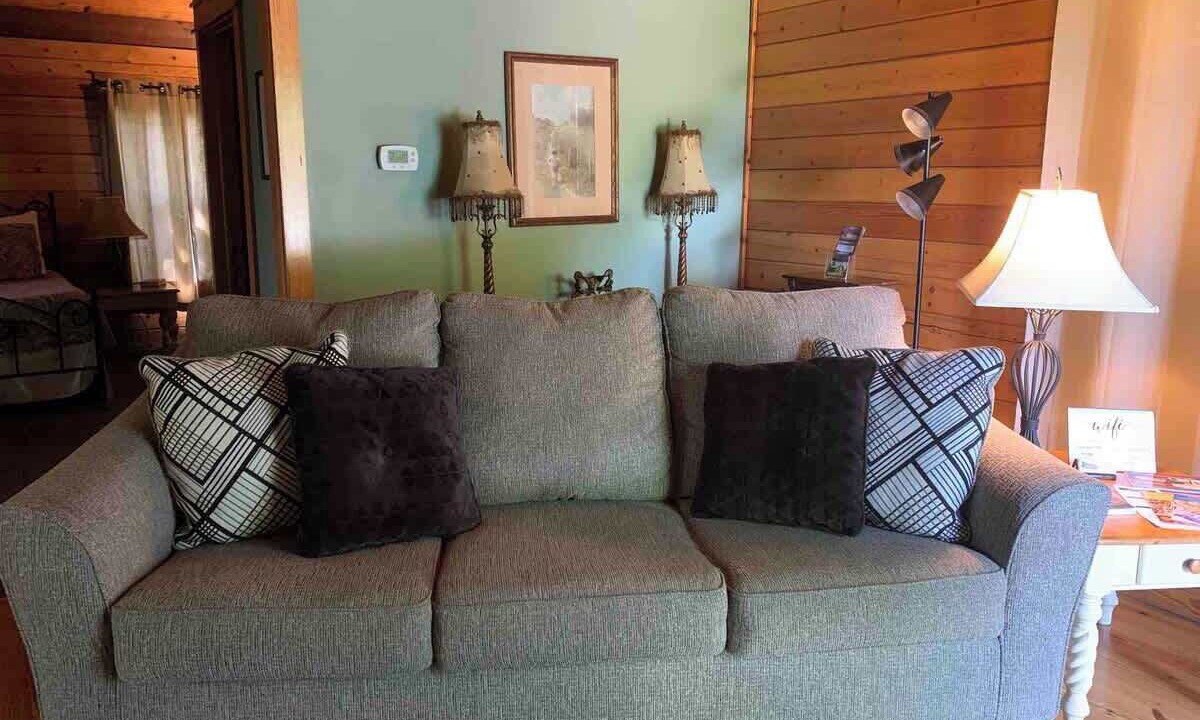 Photo of Livingroom in Garfield