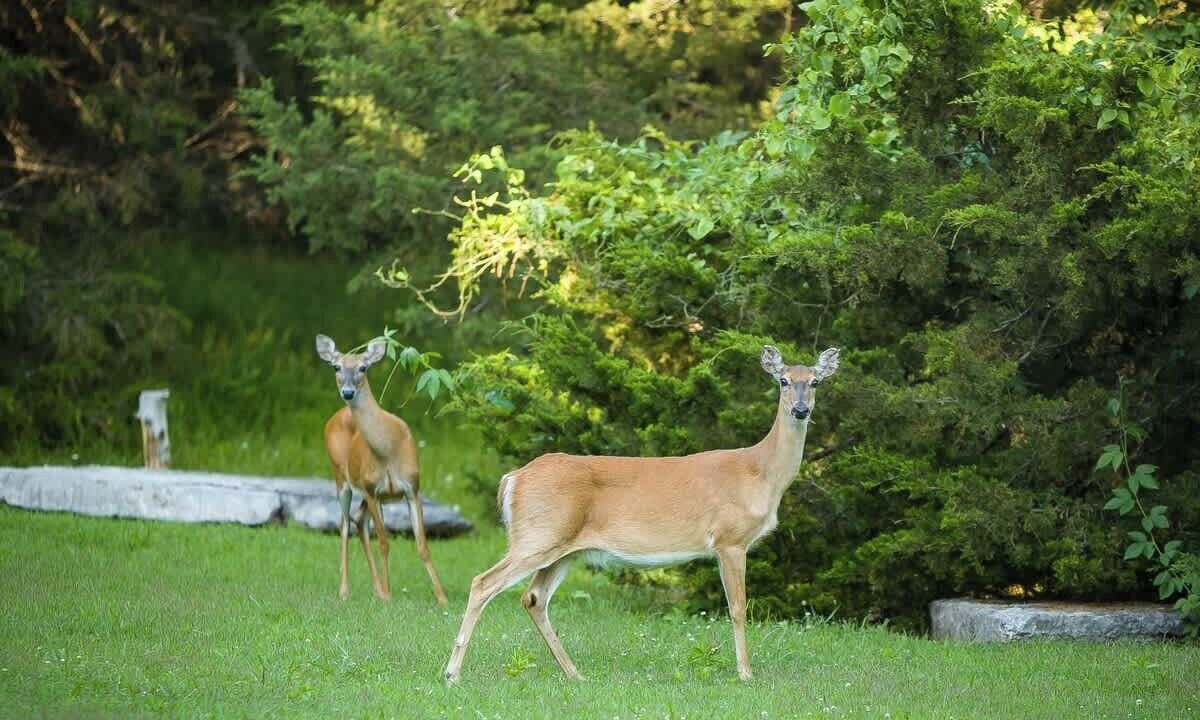 Photo of Others in Garfield