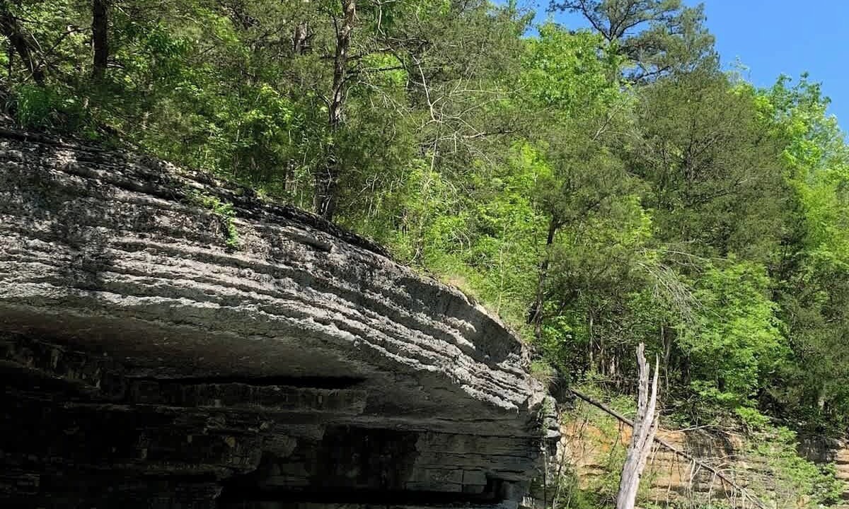 Photo of Outdoor in Garfield