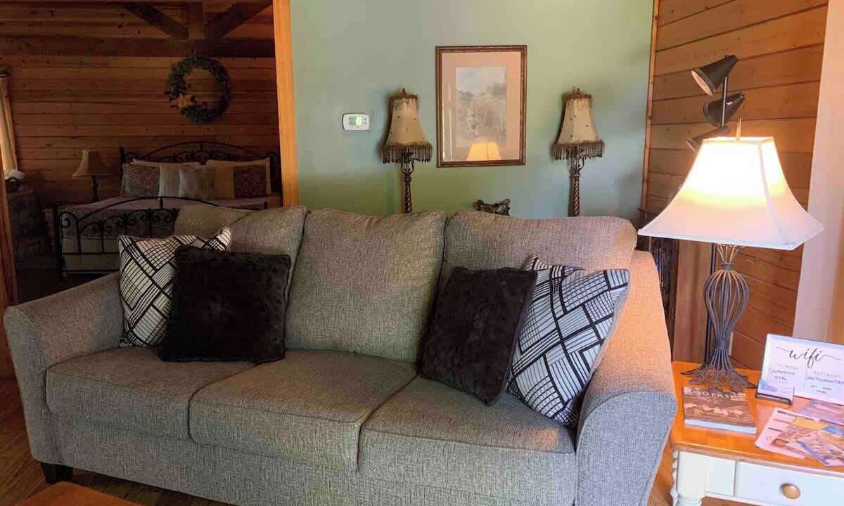 Photo of Livingroom in Garfield