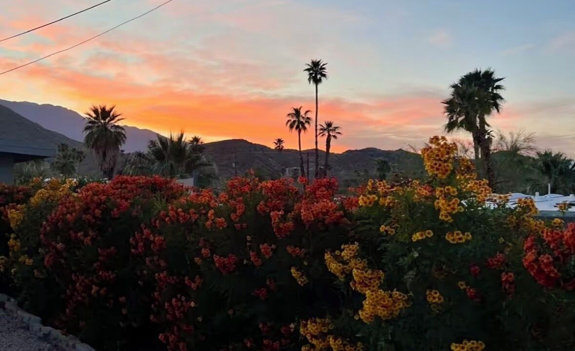 Photo of Outdoor in Cathedral City Cove