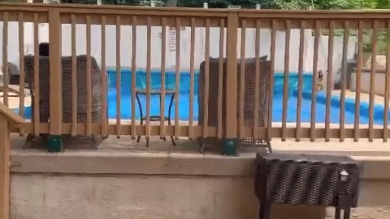 Photo of Outdoor in Roxborough