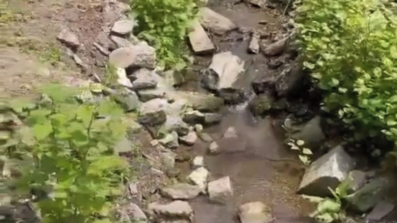 Photo of Others in Roxborough