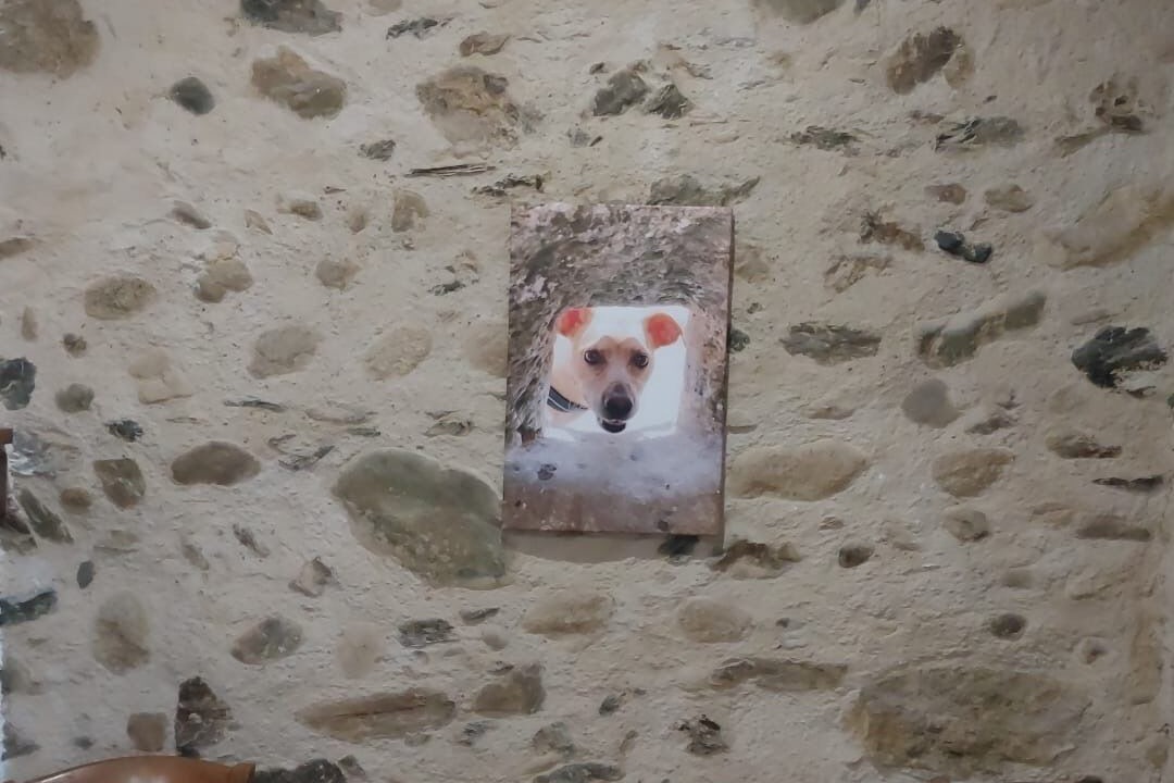 Photo of Others in Arcizac-ez-Angles