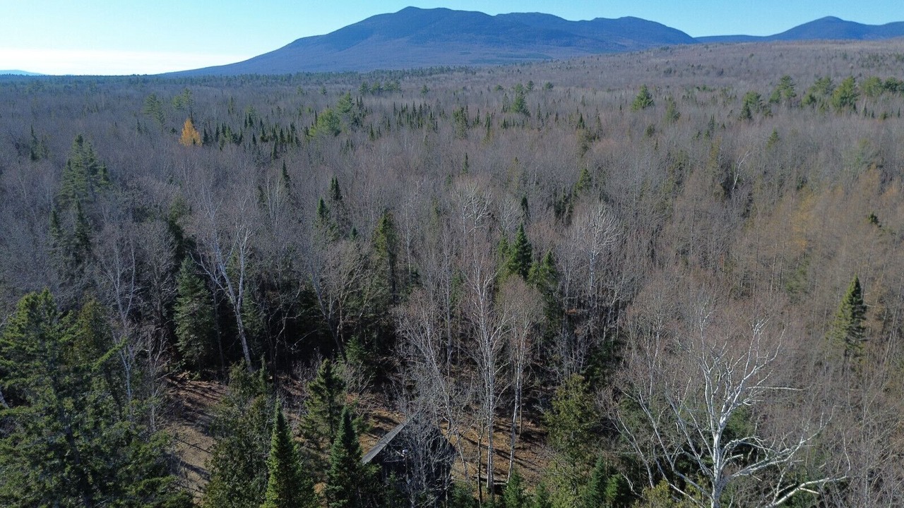 Photo of Others in Kingfield