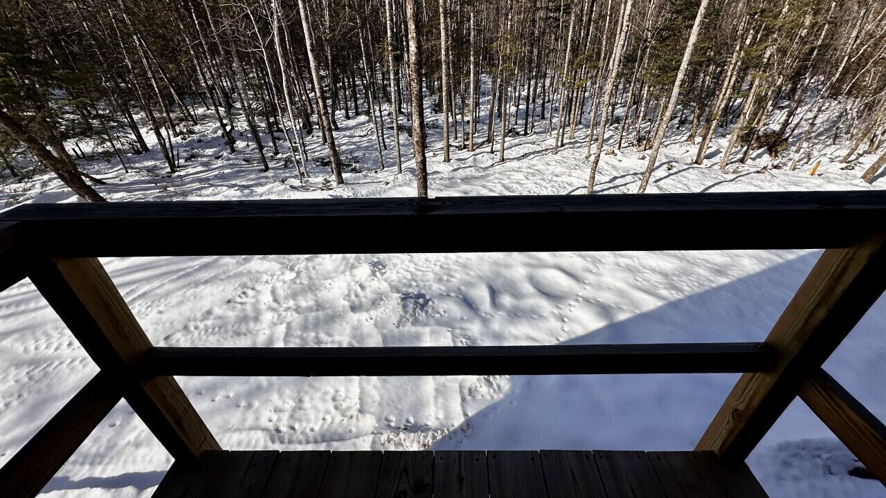 Photo of Outdoor in Kingfield