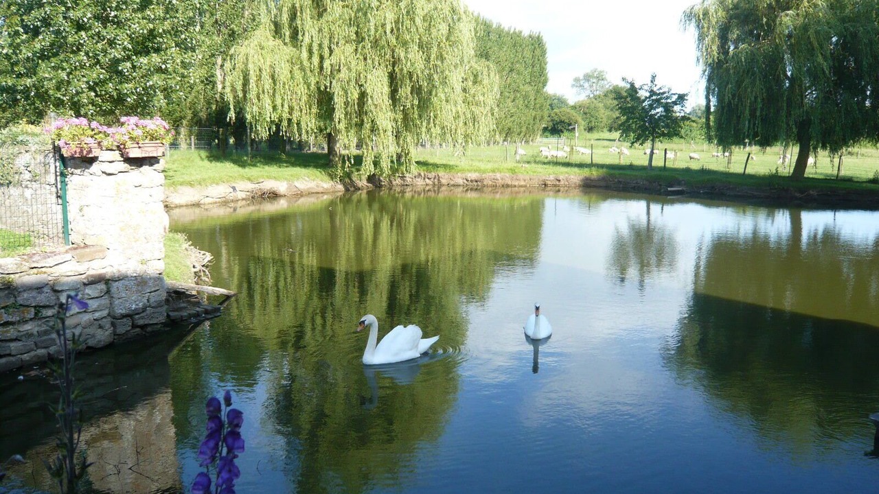 Photo of Others in Dampierre-en-Bray