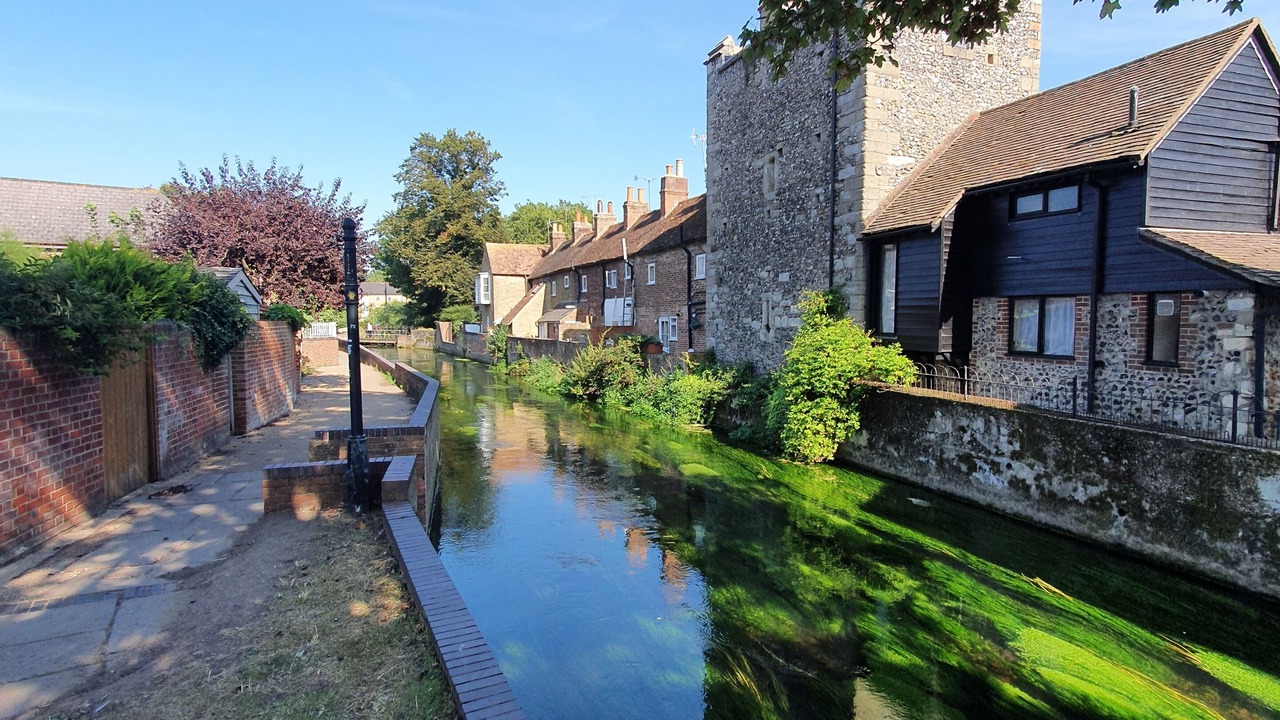 Photo of Others in Canterbury
