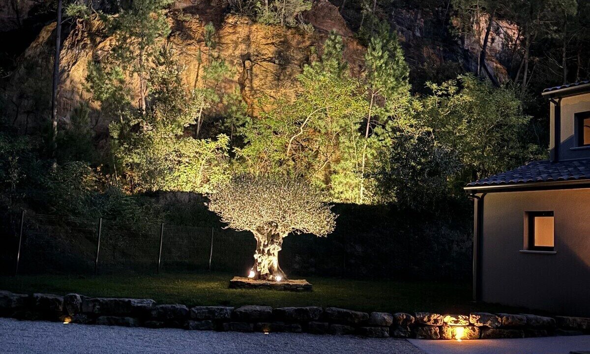 Photo of Outdoor in Saint-Restitut