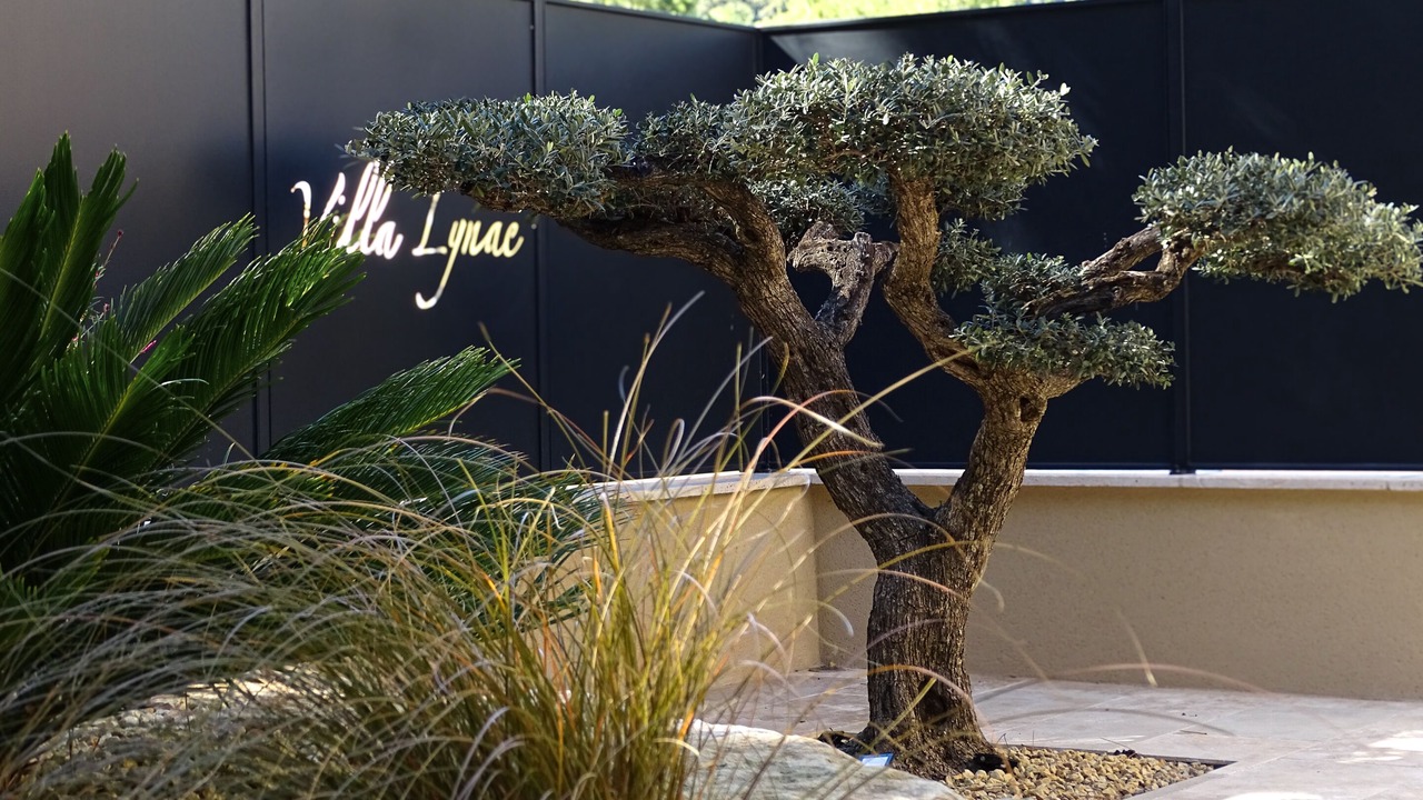 Photo of Outdoor in Saint-Restitut