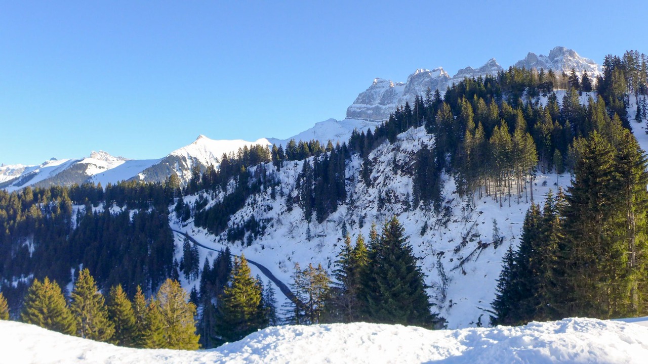 Photo of Others in Val d'Illiez