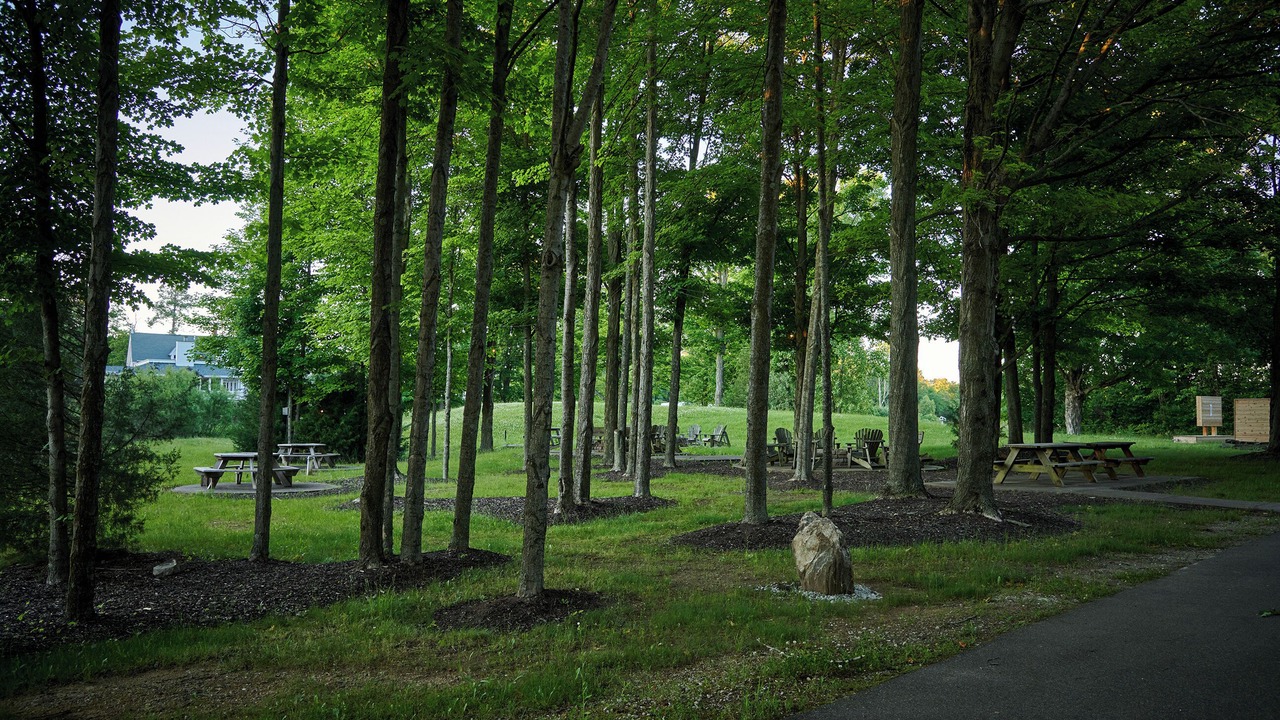 Photo of Outdoor in Fennville