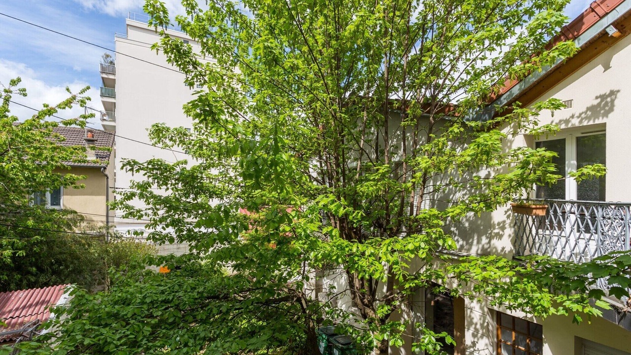 Photo of Outdoor in Malakoff