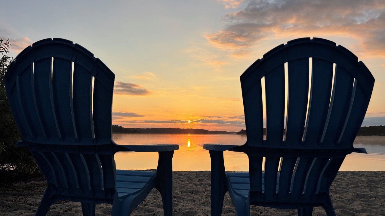 Photo of Others in Harwich