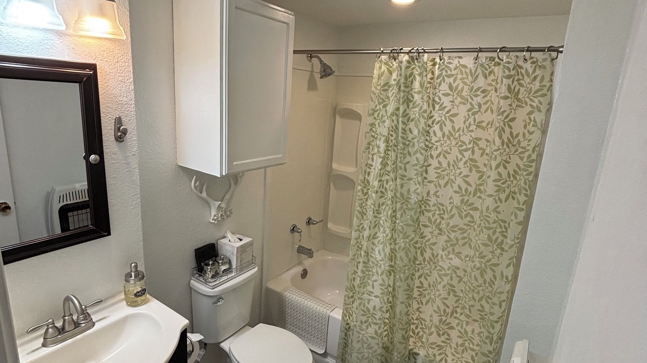 Photo of Bathroom in Nemo