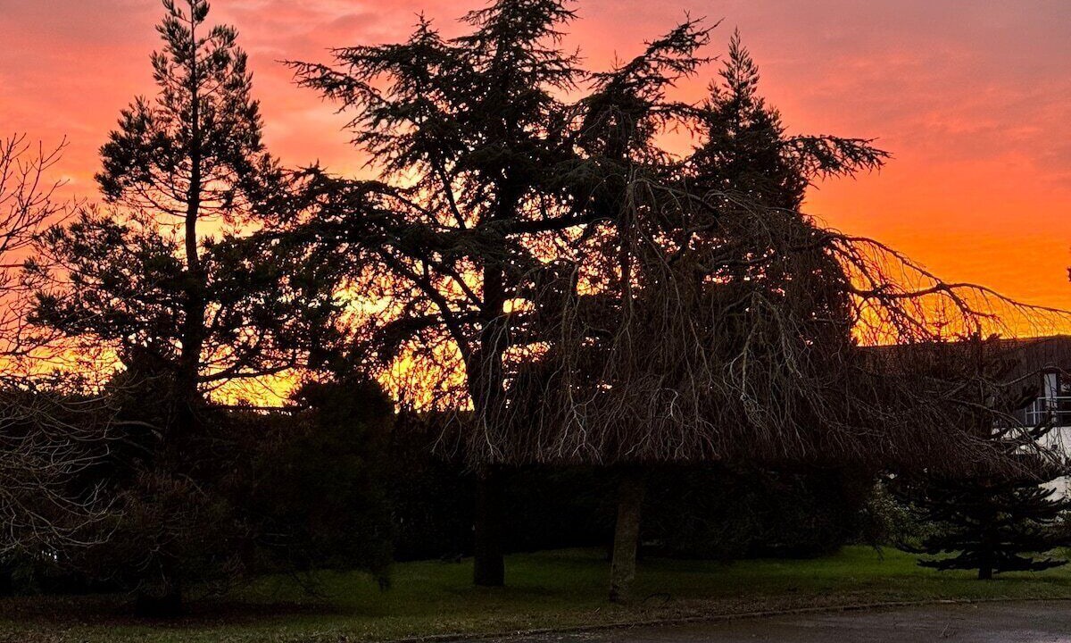 Photo of Others in Les Attaques