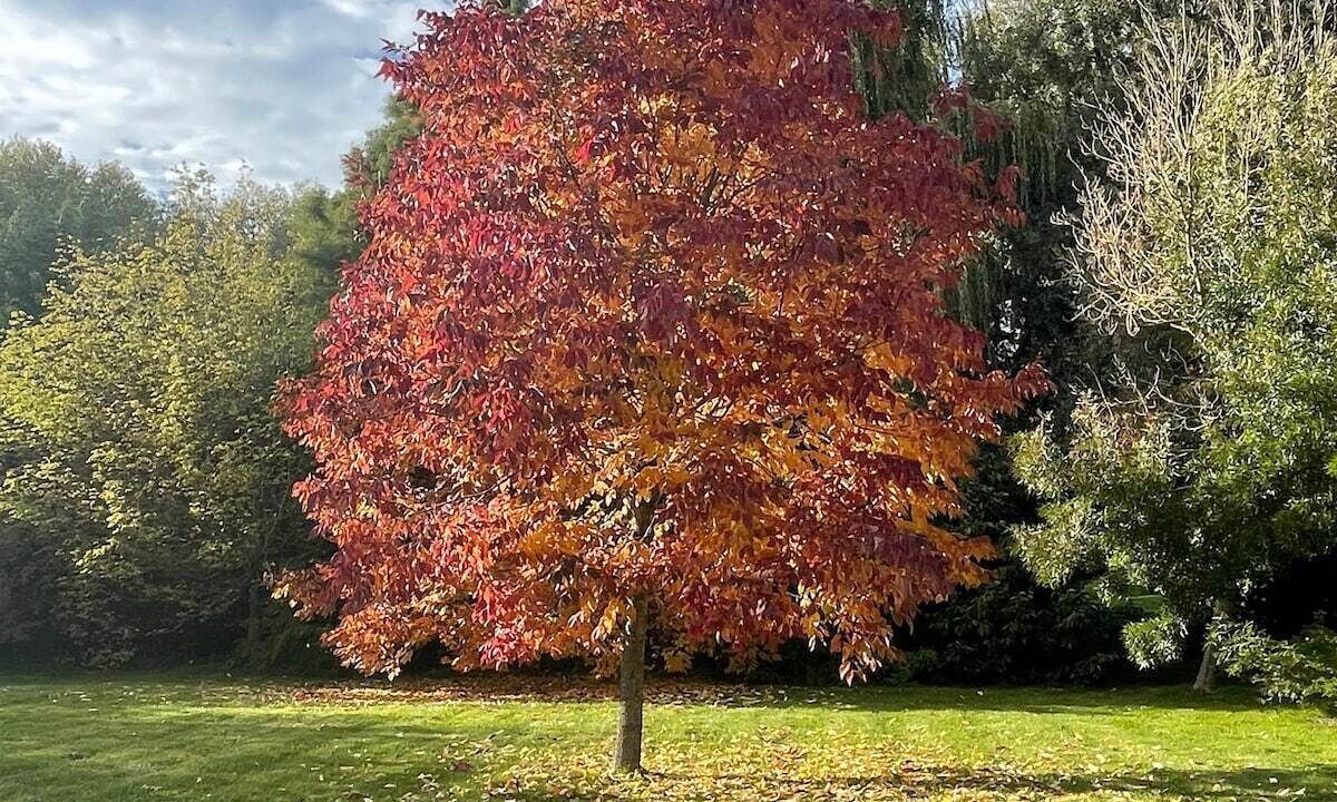 Photo of Others in Les Attaques