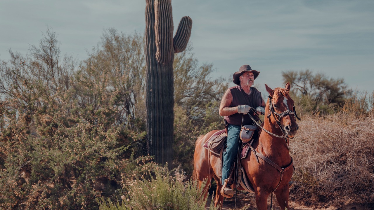 Photo of Others in Rio Verde Foothills