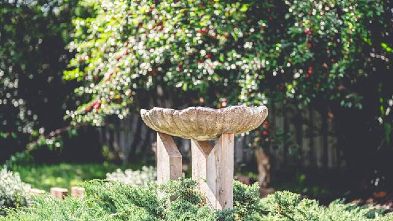 Photo of Outdoor in North Geelong