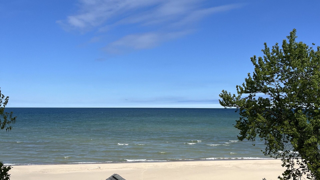 Photo of Others in South Haven