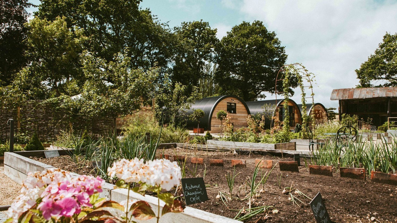 Photo of Others in Mortimer West End