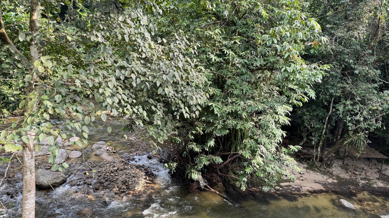 Photo of Outdoor in Tapah