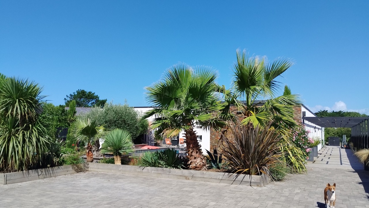 Photo of Outdoor in La Turballe