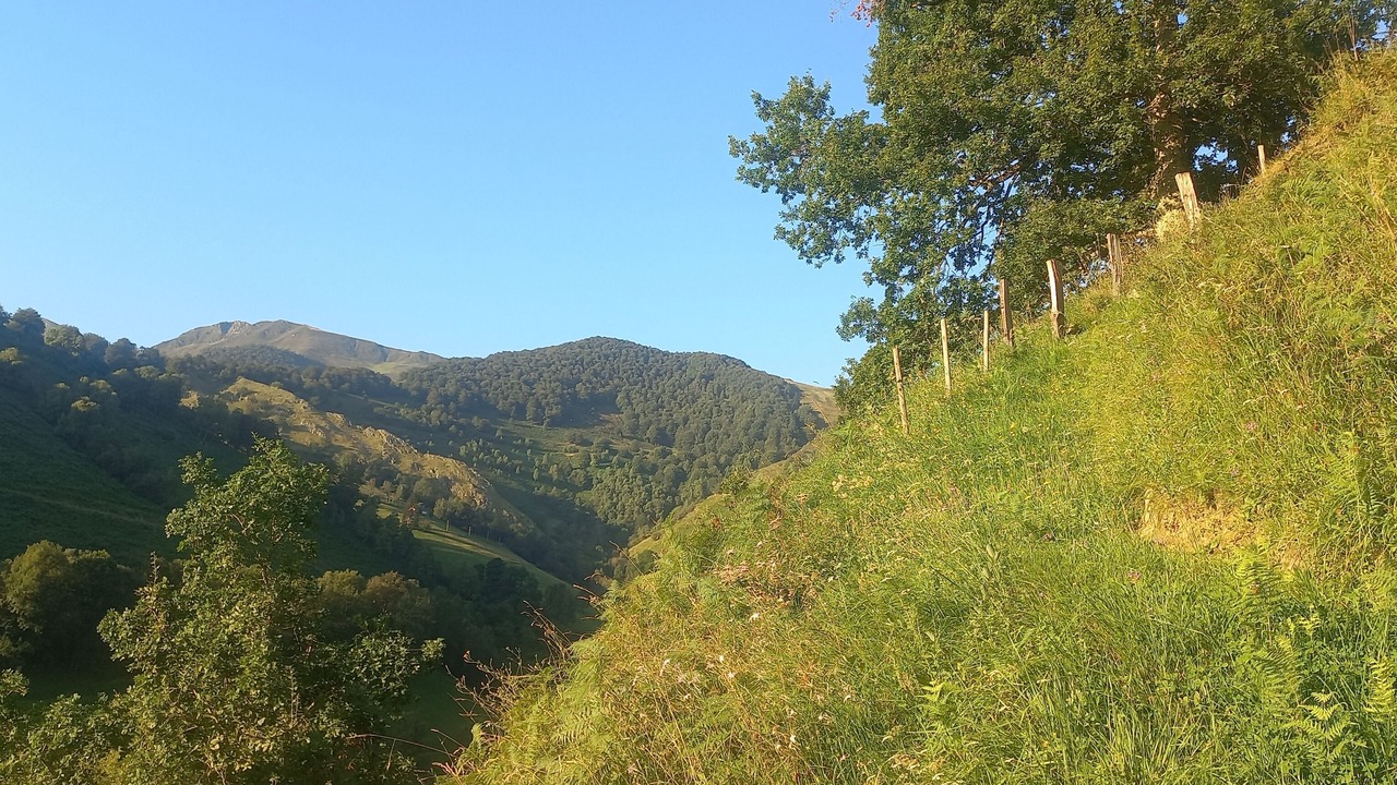 Photo of Others in Germs-sur-l'Oussouet
