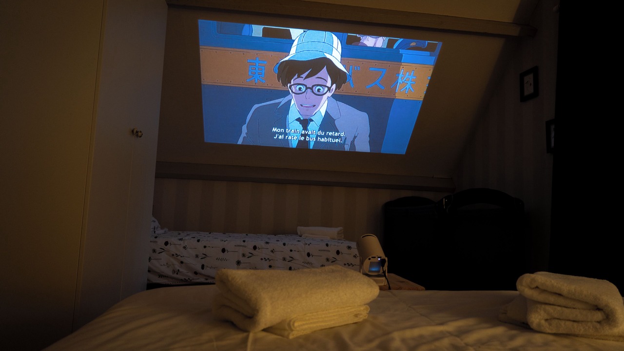 Photo of Bedroom in Montchaton
