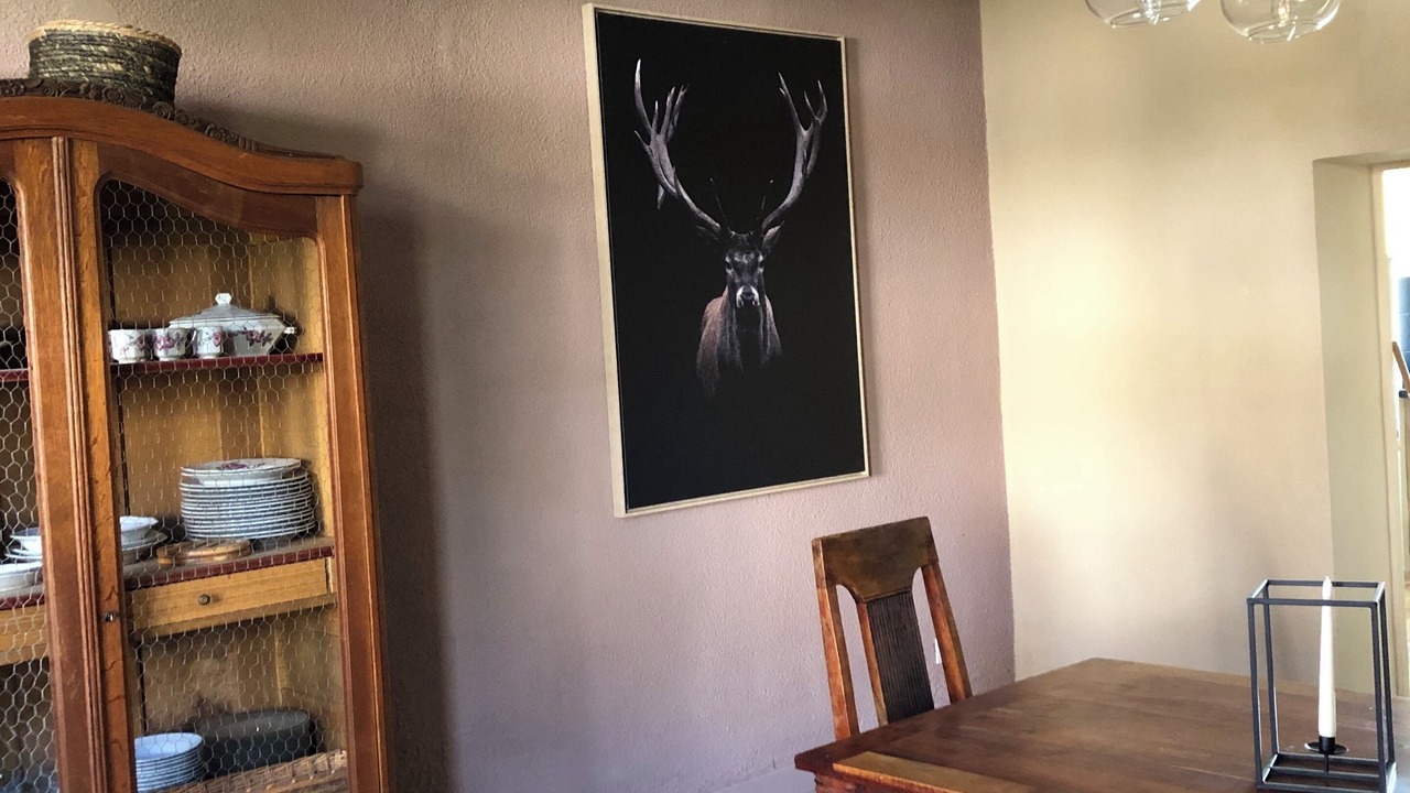 Photo of Others in Chateau-Renard