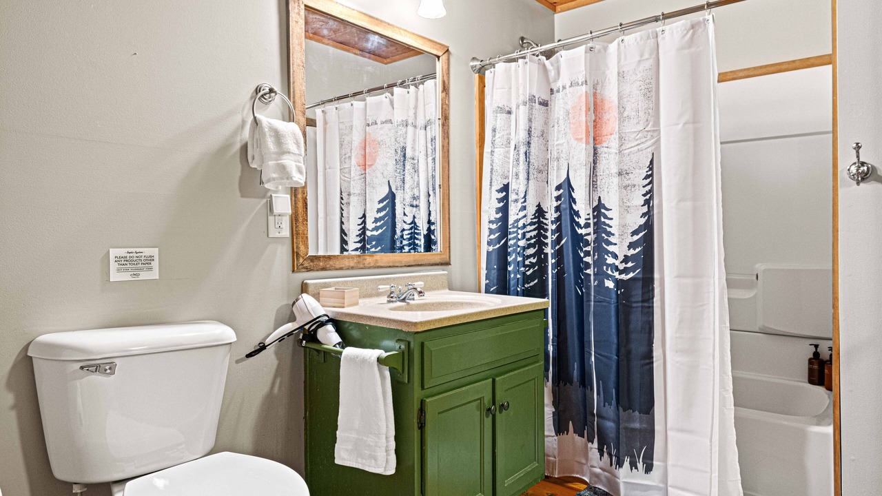 Photo of Bathroom in Clarkesville