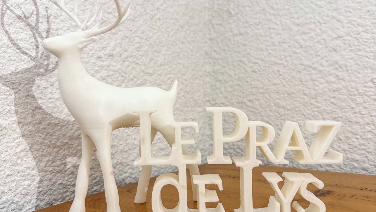 Photo of Others in Le Praz de Lys