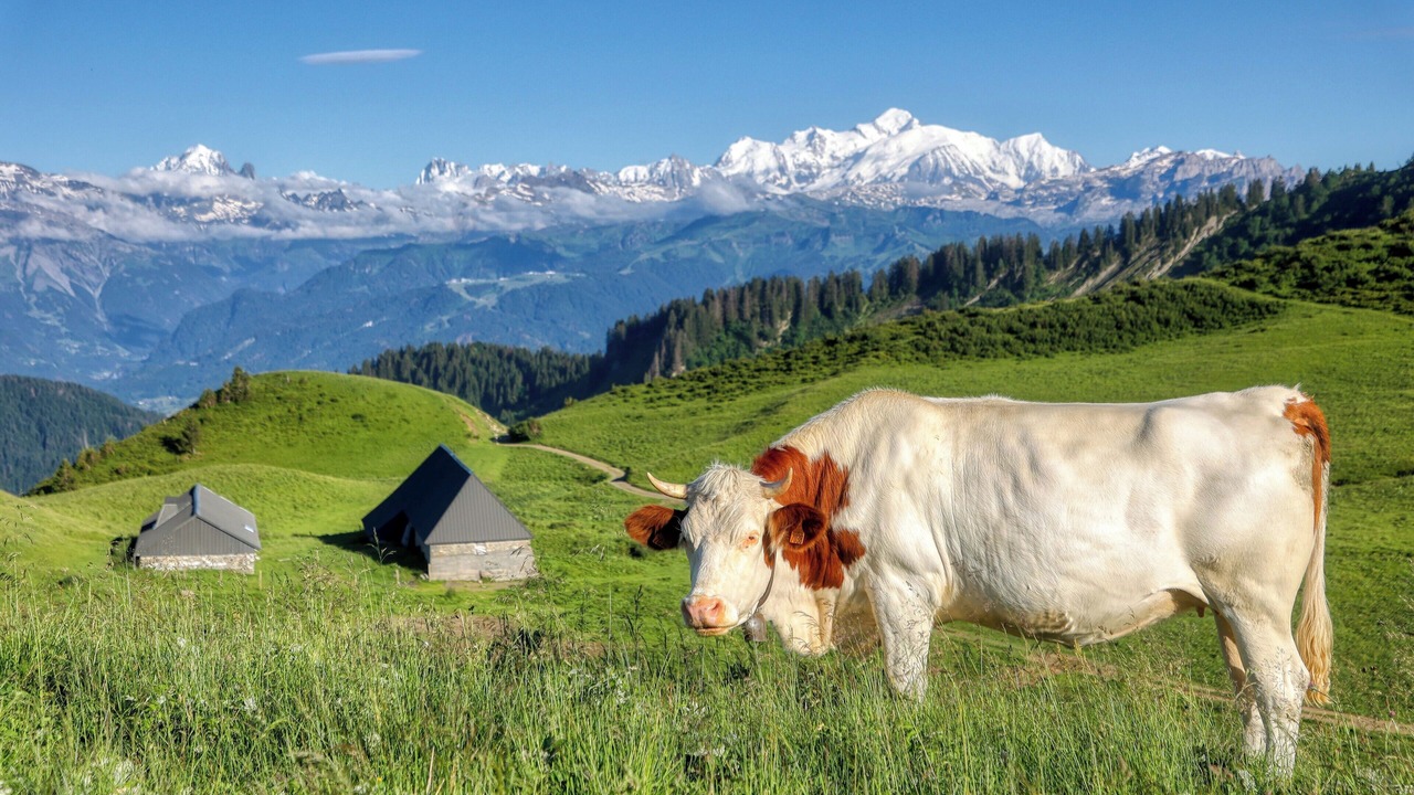 Photo of Others in Le Praz de Lys