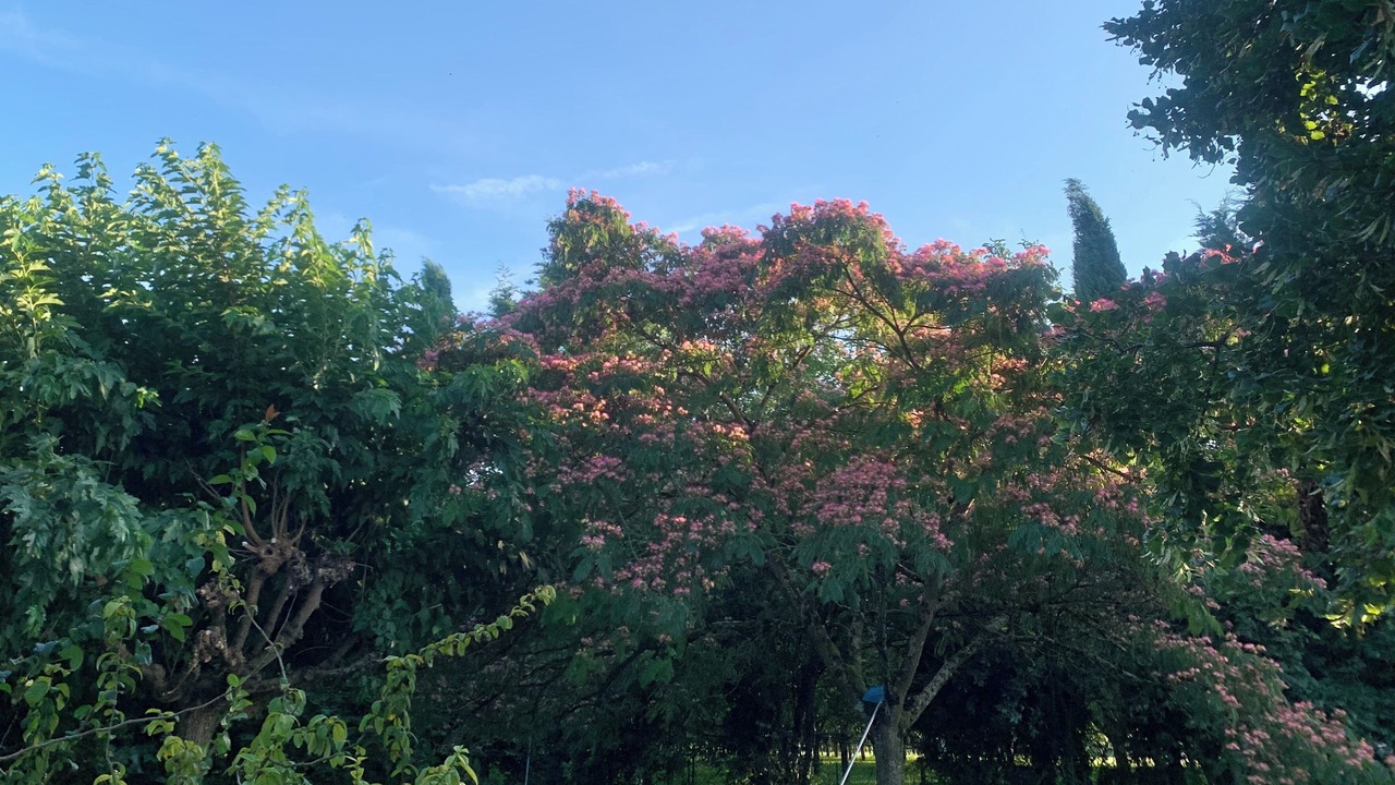 Photo of Others in Saint-Romans